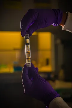 Laboratorní rukavice držící zkumavku s kapalným vzorkem v laboratoři